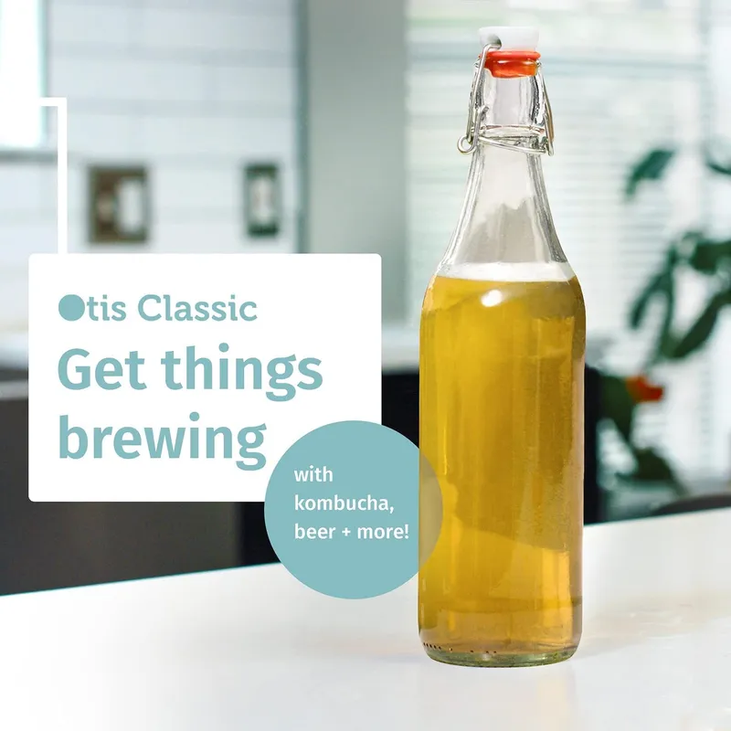 Otis Classic Swing Top Glass Bottles, 16 oz, Set of 6 – Clear, Plastic Caps — image 8
