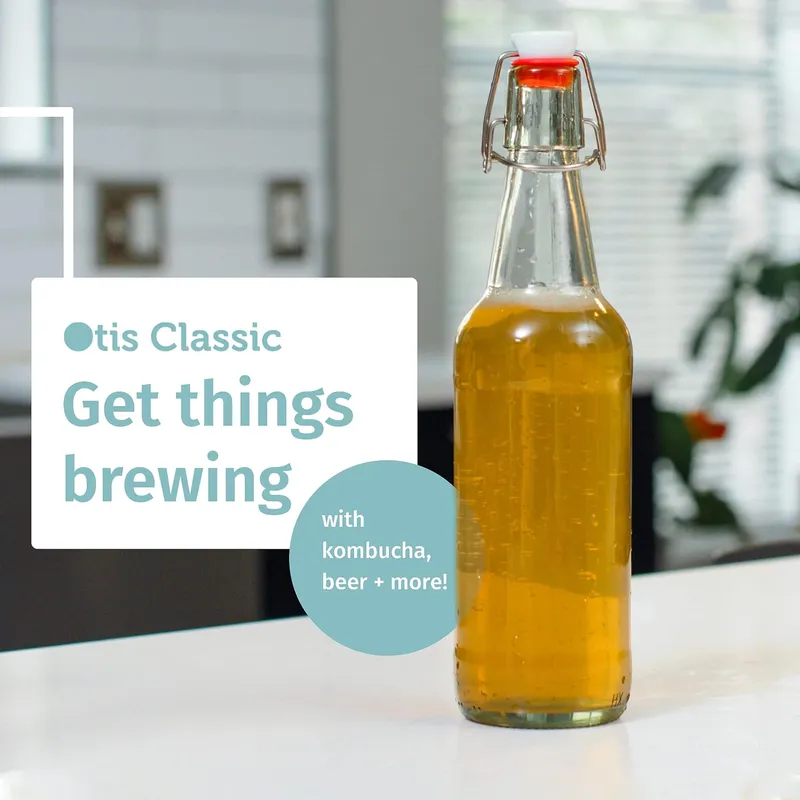 Otis Classic Swing Top Glass Bottles, 16 oz, Set of 6 – Clear, Ceramic Caps — image 9